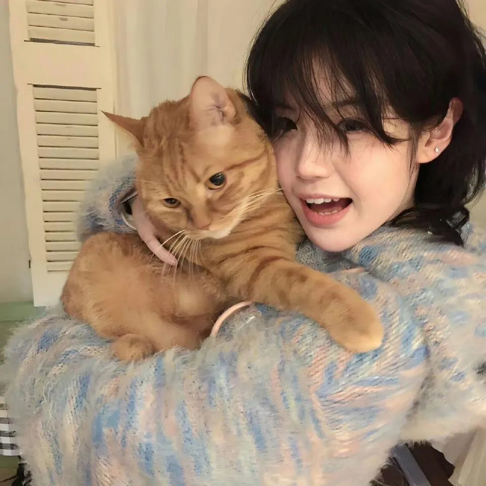 小绿和小蓝第三季